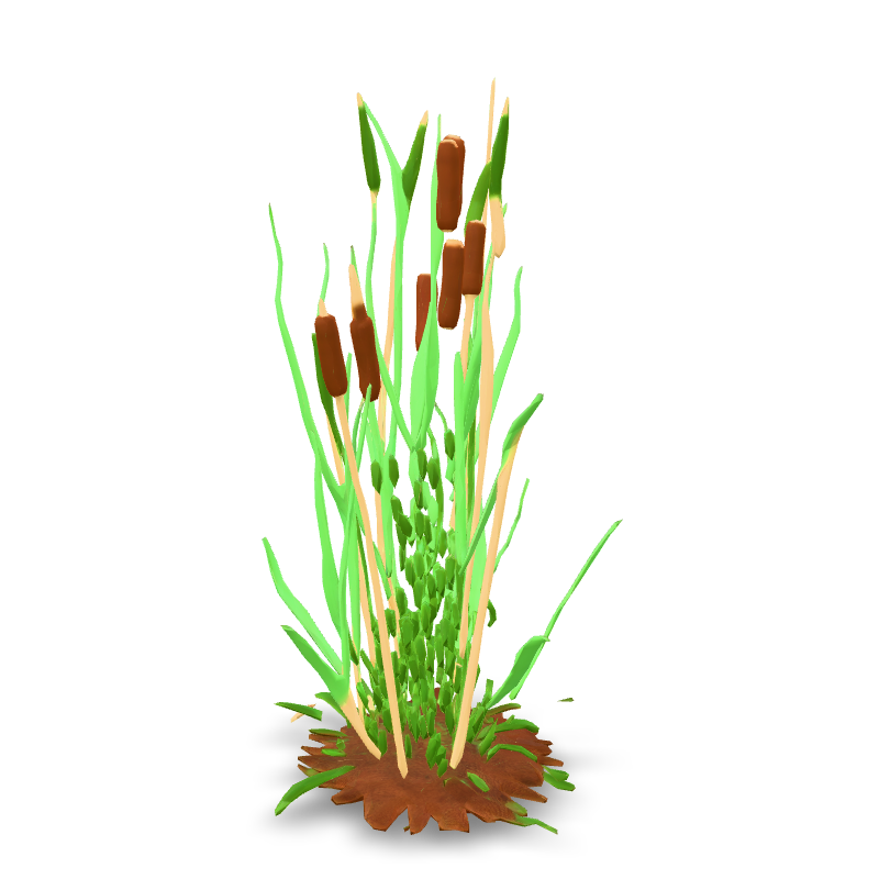 Low-poly reeds clump